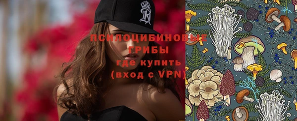 эйфоретик Краснослободск